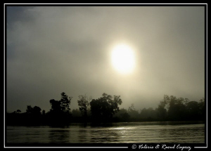 Sunrise through the fog on the Kinabatangan river in Borneo. by Raoul Caprez 